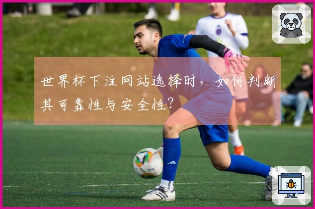 世界杯下注网站选择时，如何判断其可靠性与安全性？