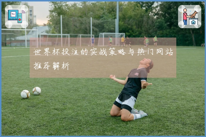 世界杯投注的实战策略与热门网站推荐解析