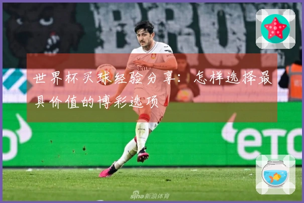 世界杯买球经验分享：怎样选择最具价值的博彩选项